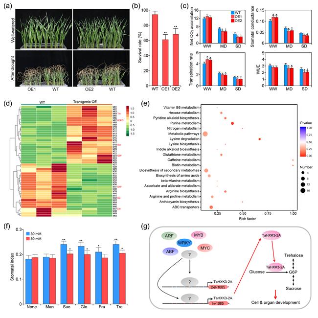 2572765f36914a3d93a622519a57d903.jpg 原图-650.jpg