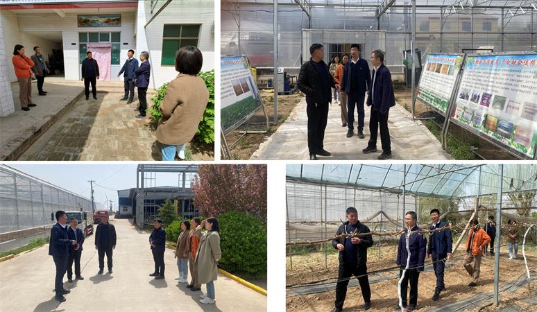 走访宿舍 参观葡萄大棚450.jpg